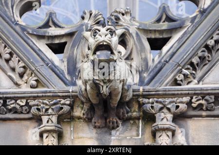 Gargoyle an der gotischen Kathedralfassade mit mittelalterlicher Architektur Stockfoto