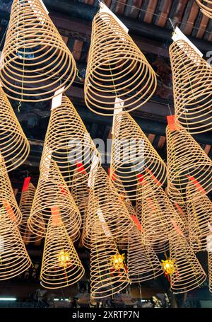 Hängende Spiralstäbchen, Thien Hau Pagoda, Saigon Chinatown, Ho Chi Minh City, Vietnam Stockfoto