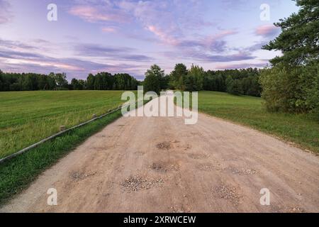 Eine unbefestigte Straße führt durch lebendige Felder in der Dämmerung. Stockfoto