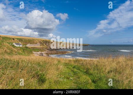 Häuser an der Nordseeküste und Klippen in der Nähe von Boddin, Angus, Schottland, Großbritannien Stockfoto