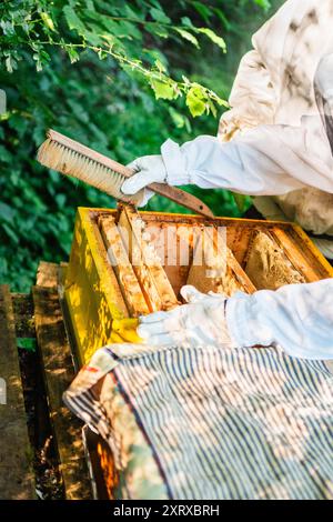 Imker in weißem Schutzanzug Imkerei die Bienenstöcke während der Imkerei Stockfoto