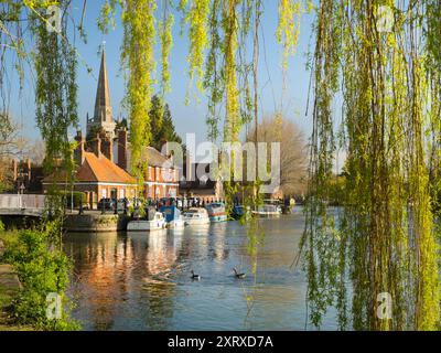 Blick unter einer Weide auf die Themse bei Abingdon an einem schönen Frühlingsmorgen. Wir befinden uns am Nordufer des Flusses und blicken flussabwärts in Richtung St Helen's Wharf - ein berühmter Schönheitsort am Fluss - und zur angelsächsischen Kirche St. Helens, nach der der Kai benannt ist. Stockfoto