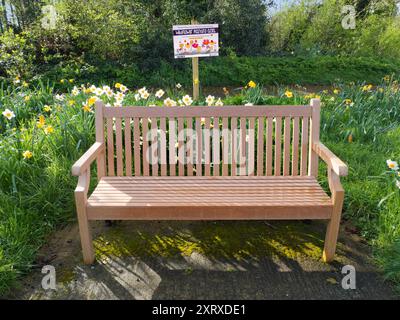 Einladende Parkbank mit Narzissen, direkt an der Eisenbahnbrücke, die Upper Radley Village - wo ich wohne - von Lower Radley trennt, an der Themse und daher wo die reichen Leute leben... Hier wachsen seit vielen Jahren wilde Blumen. Aber jetzt ist es zu einem „offiziellen“ Ort für den Anbau von Wildblumen geworden. Schön. Stockfoto