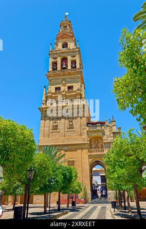 Historischer Glockenturm von La Mezquita-Catedral de Córdoba in Cordoba, Provinz Cordoba in Zentralspanien. Stockfoto