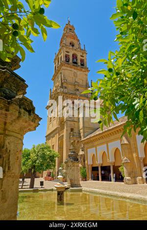 Historischer Glockenturm von La Mezquita-Catedral de Córdoba in Cordoba, Provinz Cordoba in Zentralspanien. Stockfoto