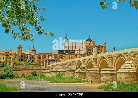 Die Römische Brücke und die ehemalige Moschee, heute eine Kathedrale, in Cordoba, Spanien. Stockfoto