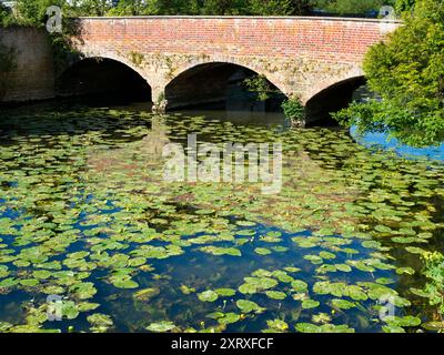 Abingdon behauptet, die älteste Stadt Englands zu sein. Und die Themse verläuft durch das Herz. Wir befinden uns am westlichen Rand einer seiner herausragenden Sehenswürdigkeiten, der mittelalterlichen Steinbrücke über den Fluss, mit Blick auf eine kleinere und viel jüngere Backsteinbrücke und das Wasser mit Seerosenplättchen. Stockfoto