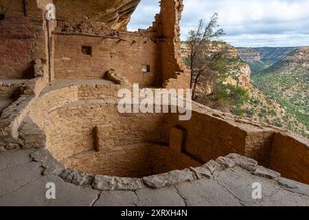 Long House Cliff House Pueblo indigene Architektur, Mesa Verde Nationalpark, Colorado, USA. Stockfoto