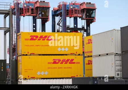 Hamburg, Deutschland. August 2024. Container mit dem DHL-Logo werden im DB Schenker Logistics Center Hamburg Port bei der DCP Dettmer Container Packing GmbH im Hamburger Hafen gelagert. Quelle: Christian Charisius/dpa/Alamy Live News Stockfoto