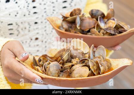 Frauenhände halten zwei Teller Venusmuscheln in Marinera-Sauce bereit, um sie zu genießen, eine typische Vorspeise aus Galicien, Spanien Stockfoto