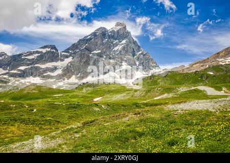 Panoramablick auf das matterhorn von der italienischen Seite mit grünen Wiesen und gelben Blumen und sonnigem bewölktem Himmel Stockfoto