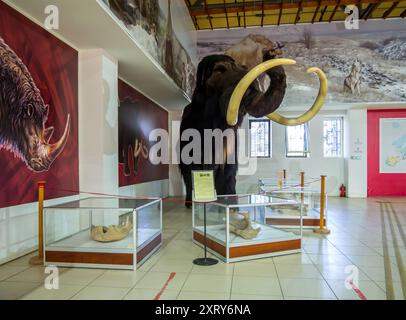 Woronesch, Russland - 2. August 2023: Figur eines Mammuts, archäologisches Museum Kostenki, Region Woronesch Stockfoto