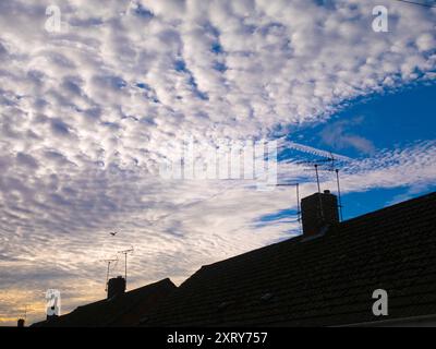 Das erste Licht mit dramatischer Wolkenlandschaft aus Altocumulus über meinem Heimatdorf Radley in Oxfordshire beleuchtet Häuser und Dächer. Ich liebe es, in den Himmel zu schauen. Was man sieht, ist oft schön und ändert sich ständig; man sieht nie zweimal denselben Himmel. Wenn ich an den meisten Orten herumspaziere, bin ich normalerweise die einzige Person, die nach oben schaut; alle anderen sind mit Köpfen nach unten und gehen ihrem täglichen Geschäft nach. Sie wissen nicht, was ihnen fehlt. Stockfoto