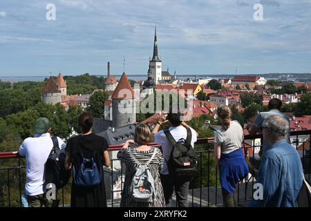 Tallinn, Estland - 24. Juli 2024: Touristen in der Altstadt von Tallinn, Estland. Stockfoto