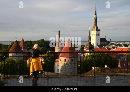 Tallinn, Estland - 24. Juli 2024: Touristen in der Altstadt von Tallinn, Estland. Stockfoto
