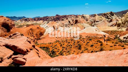 Fire Canyon Overlook, Valley of Fire State Park, Mojave Desert, Nevada Stockfoto