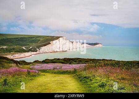 Blick über die Felsformationen in Großbritannien, bekannt als Seven Sisters. Stockfoto