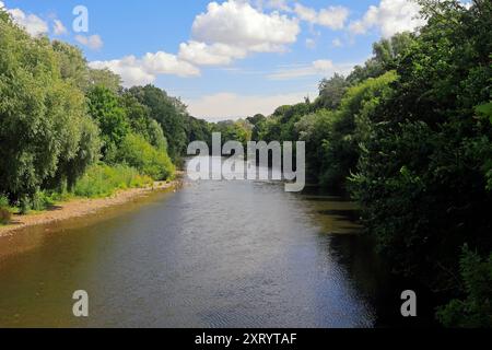 Der Fluss Taff in der Nähe der Western Avenue, Cardiff, South Wales, Großbritannien. Vom August 2024. Sommer Stockfoto