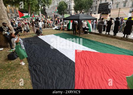 London, Großbritannien. August 2024. Eine große palästinensische Flagge liegt auf dem Boden, während palästinensische Anhänger in Whitehall, London, gegenüber der Residenz des britischen Premierministers Keir Starmer protestieren, nachdem die israelischen Bombenangriffe auf die al-Tabin-Schule in Gaza Dutzende getötet und viele weitere verletzt haben. Die Schule unterhielt Flüchtlinge, die vor früheren israelischen Angriffen flohen. Die von der Palästinensischen Solidaritätskampagne, Stop the war Coalition und Friends of Al Aqsa organisierte Kundgebung rief Großbritannien dazu auf, die Bewaffnung Israels einzustellen und einen sofortigen Waffenstillstand zu fordern. Quelle: Ron Fassbender/Alamy Live News Stockfoto