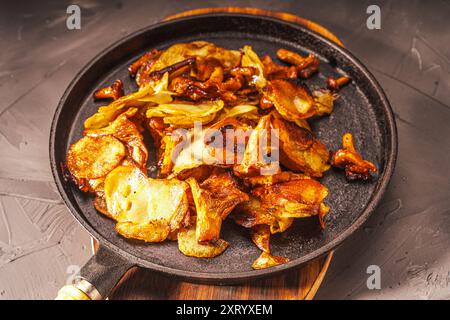 Gebratene Kartoffeln mit Pilzen Chanterellen in einer schwarzen gusseisernen Pfanne mit einer Gabel auf grauem Hintergrund. Hochwertige Fotos Stockfoto