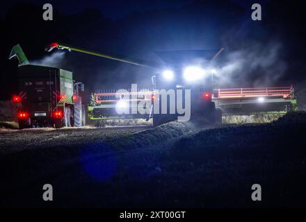 Gadebusch, Deutschland. August 2024. Mähdrescher und Traktorgruppen fahren nach Sonnenuntergang über ein Feld und droschen Weizen. Nach langen Erntepausen aufgrund von Regen und nassem Boden nutzen die Bauern in Norddeutschland das trockene und warme Wetter, um die letzten Getreidefelder bis spät in den Abend zu ernten. Quelle: Jens Büttner/dpa/Alamy Live News Stockfoto