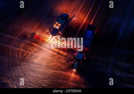 Gadebusch, Deutschland. August 2024. Mähdrescher und Traktorgruppen fahren nach Sonnenuntergang über ein Feld und droschen Weizen (mit einer Drohne geschossen). Nach langen Erntepausen aufgrund von Regen und nassem Boden nutzen die Bauern in Norddeutschland das trockene und warme Wetter, um die letzten Getreidefelder bis spät in den Abend zu ernten. Quelle: Jens Büttner/dpa/Alamy Live News Stockfoto