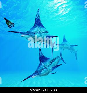 Der Blue Marlin ist ein beliebtes Großwild Fisch für die Fischer und Ozeane in der ganzen Welt bewohnt. Stockfoto