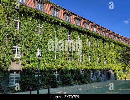 Fassade eines wunderschönen Gebäudes, bedeckt mit üppigem grünem Efeu unter einem klaren blauen Himmel. Gepflegte Fenster und saubere Wege. Harmonie zwischen Natur und Bogen Stockfoto