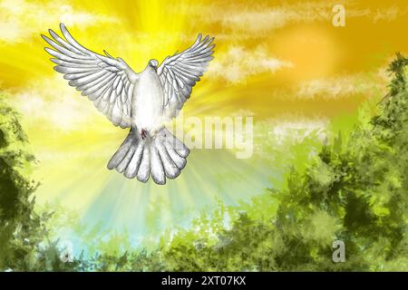 Weiße Taube, die anmutig durch einen sonnigen Himmel schwebt, steht für Frieden, Hoffnung und Neuanfänge Stockfoto