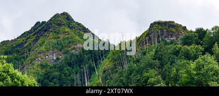 Great Smoky Mountains National Park, Tennessee, USA – 21. Juli 2024: Nahaufnahme des Feuerschadens auf den Chimney Tops aus dem verheerenden Jahr 201 Stockfoto