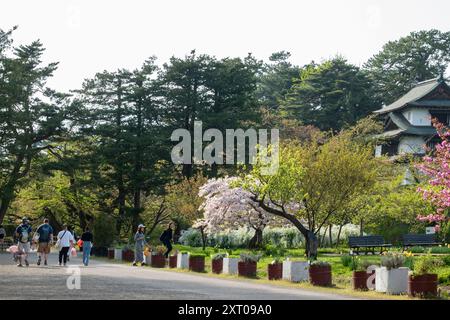 Tatsumi Turret im Botanischen Garten der Burg Hirosaki während des Kirschblütenfestes 2024 Stockfoto