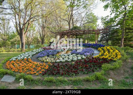 Blumenuhr im Schloss Hirosaki und in den Gärten während des Kirschblütenfestes 2024 Stockfoto