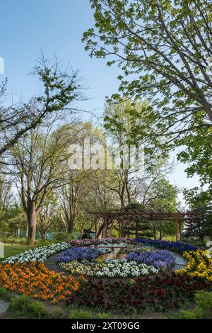 Blumenuhr im Schloss Hirosaki und in den Gärten während des Kirschblütenfestes 2024 Stockfoto