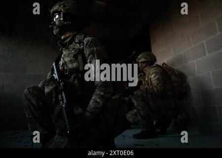 Reservisten der britischen Armee des 3. Bataillons, Royal Anglian Regiment, bekannt als „The Steelbacks“, führen während der Übung Northern Strike 24-2 einen simulierten nächtlichen Angriff auf Unternehmensebene in der Combined Armed Collective Training Facility, Camp Grayling, Michigan, am 12. August 2024 durch. Northern Strike 24-2, eine der größten Vorbereitungsübungen für Reservekomponenten des Verteidigungsministeriums, soll vom 3. Bis 17. August 2024 im National All Domain Warfight Center (NADWC) in Michigan stattfinden. Über 6.300 Teilnehmer aus 32 staaten und Gebieten und mehrere internationale Teilnehmer Stockfoto