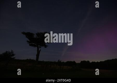 Watford, Großbritannien, 12. August 2024, Northern Lights erschien über Watford in der Nacht des Gipfels Perseide Meteor Shower. Aufgenommen im Cassiobury Park. Andrew Lalchan Photography/Alamy Live News Stockfoto