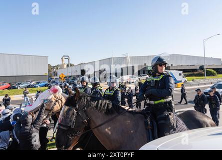 Melbourne, Australien. August 2024. Berittene Polizisten, die während der Demonstration von der öffentlichen Ordnung und dem Eingreifteam unterstützt wurden. Pro-Palästina-Demonstranten versammelten sich zu einer Demonstration vor Einem W. Bell in Dandenong South Melbourne, ein Unternehmen, das Teile für Israel herstellt. Die Demonstration dauerte fast 5 Stunden, sie endete, nachdem sie auf Anweisung der Polizei einen Zug erhielten und in der Unterzahl waren. Die Arbeiter von A.W.Bell konnten ihre Schicht beginnen, als die Polizei eine Barriere gegen die Demonstranten schuf. Quelle: SOPA Images Limited/Alamy Live News Stockfoto