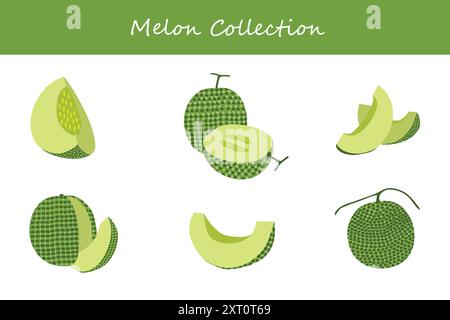 Melonenkollektion. Melone in verschiedenen Stellungen. Vektorabbildung. Stock Vektor