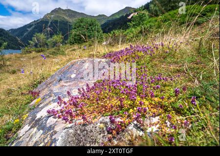 Der Pyrenäen-See „Lac de Fabrèges“ bei Laruns im oberen Ossau-Tal, Béarn, Frankreich Stockfoto