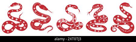 Set aus Schlangensymbolen mit Blumenmuster. Happy Chinese New Year 2025 Sternzeichen Stock Vektor