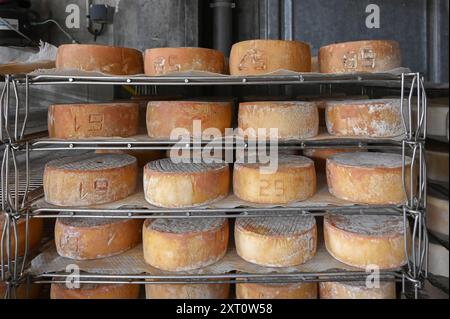 Im „Saloir“ von Fabrèges in den Pyrenäen von Béarn reift der Bergziegenkäse. Artouste, Frankreich Stockfoto