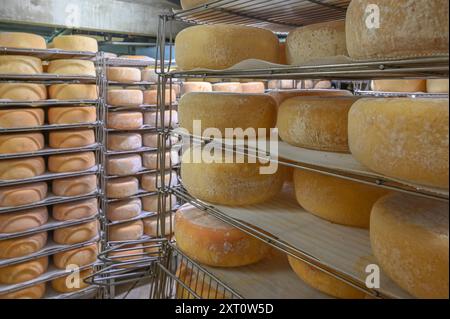 Im „Saloir“ von Fabrèges in den Pyrenäen von Béarn reift der Bergziegenkäse. Artouste, Frankreich Stockfoto