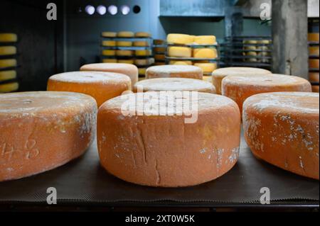 Im „Saloir“ von Fabrèges in den Pyrenäen von Béarn reift der Bergziegenkäse. Artouste, Frankreich Stockfoto