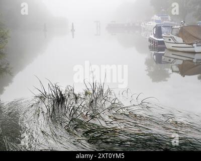 Abingdon-on-Thames behauptet, die älteste Stadt Englands zu sein. Und die Themse fließt durch ihr Herz. Hier ist das Wehr, direkt oberhalb der mittelalterlichen Brücke, verstopft am Treffpunkt des Flusses mit dem Nebenfluss Abbey Spring. Dieses Wehr grenzt an das Abingdon Lock. Und es ist ein nebeliger Sommermorgen. Stockfoto