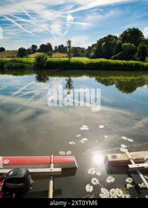 Das 1921 gegründete Radley Boathouse befindet sich an einem wunderschönen Teil der Themse in Oxfordshire und dient seit über einem Jahrhundert Radley College und lokalen Ruderfreunden. Wenn Sie auf dem Steg stehen und auf das Nordufer des Flusses blicken, sehen Sie einen isolierten und ziemlich schönen Baum, der Charakter und Aussehen im Laufe des Jahres zu verändern scheint. Hier sehen wir es an einem schönen und sonnigen Sommermorgen, mit den allgegenwärtigen Vergnügungskatamaranen des Bootshauses im Vordergrund. Das rote Malteserkreuz ist das Emblem des College Boot Club. Stockfoto