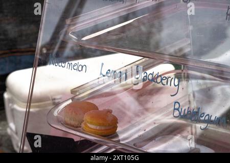 Zitrone, Brombeere, Bubblegum handgeschriebene Typografie verschiedener Macaron-Aromen auf Glas mit Reflexion von lokalen Bäckerverkäufern am Trout Lake B Stockfoto