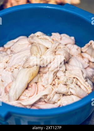 Eine Nahaufnahme frischer Rohzutaten, vor allem fettes Schweinefleisch, das zum Hacken und Würzen für die Herstellung der traditionellen spanischen Sobrasada-Wurst zubereitet wird, d Stockfoto