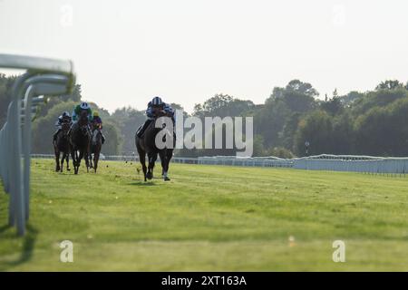 Windsor, Berkshire, Großbritannien. August 2024. STAINCLIFF mit Jockey Charles Bishop gewinnt die Fitzdares gratuliert Keith Scott & London 52 Novice Stakes (Klasse 5) (GBB Race) auf der Royal Windsor Racecourse in Windsor, Berkshire beim Vegas Racenight. Eigentümer Mr. C R Hirst, Trainer Jack Channon, West Ilsley, Züchter Aston Mullins Stud & S Barrow Esq, Sponsor Jack Channon Racing Limited. Quelle: Maureen McLean/Alamy Live News Stockfoto