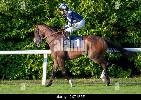 Windsor, Berkshire, Großbritannien. August 2024. STAINCLIFF mit Jockey Charles Bishop gewinnt die Fitzdares gratuliert Keith Scott & London 52 Novice Stakes (Klasse 5) (GBB Race) auf der Royal Windsor Racecourse in Windsor, Berkshire beim Vegas Racenight. Eigentümer Mr. C R Hirst, Trainer Jack Channon, West Ilsley, Züchter Aston Mullins Stud & S Barrow Esq, Sponsor Jack Channon Racing Limited. Quelle: Maureen McLean/Alamy Live News Stockfoto