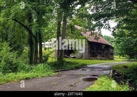 Alte, verwitterte Holzscheune an einer malerischen Straße im ländlichen Tennessee im Juli. Stockfoto