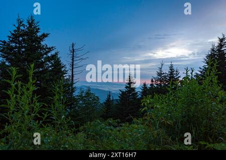 Panoramablick durch eine Lücke in den Bäumen der riesigen Gebirgszüge, sichtbar vom Clingman's Dome (Kuwohi) in Tennessee im Great Smoky Moun Stockfoto